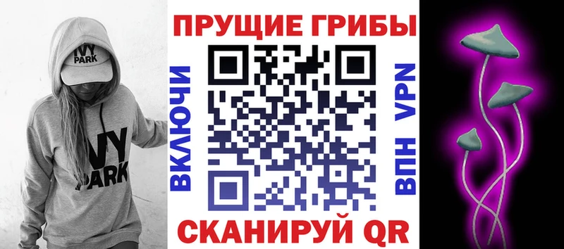 цены blacksprut ONION Галлюциногенные грибы Psilocybine cubensis Можга