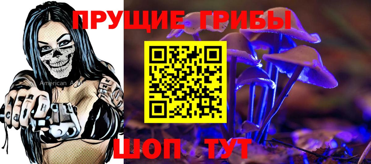 Псилоцибиновые грибы GOLDEN TEACHER Можга
