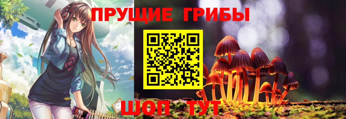 Можга  Галлюциногенные грибы прущие грибы  Вход с VPN 